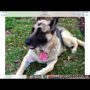 Meet your Posher, Patricia